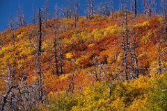 17_Mesa Verde National Park_3